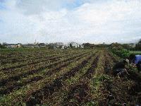 IMG_2103.jpg